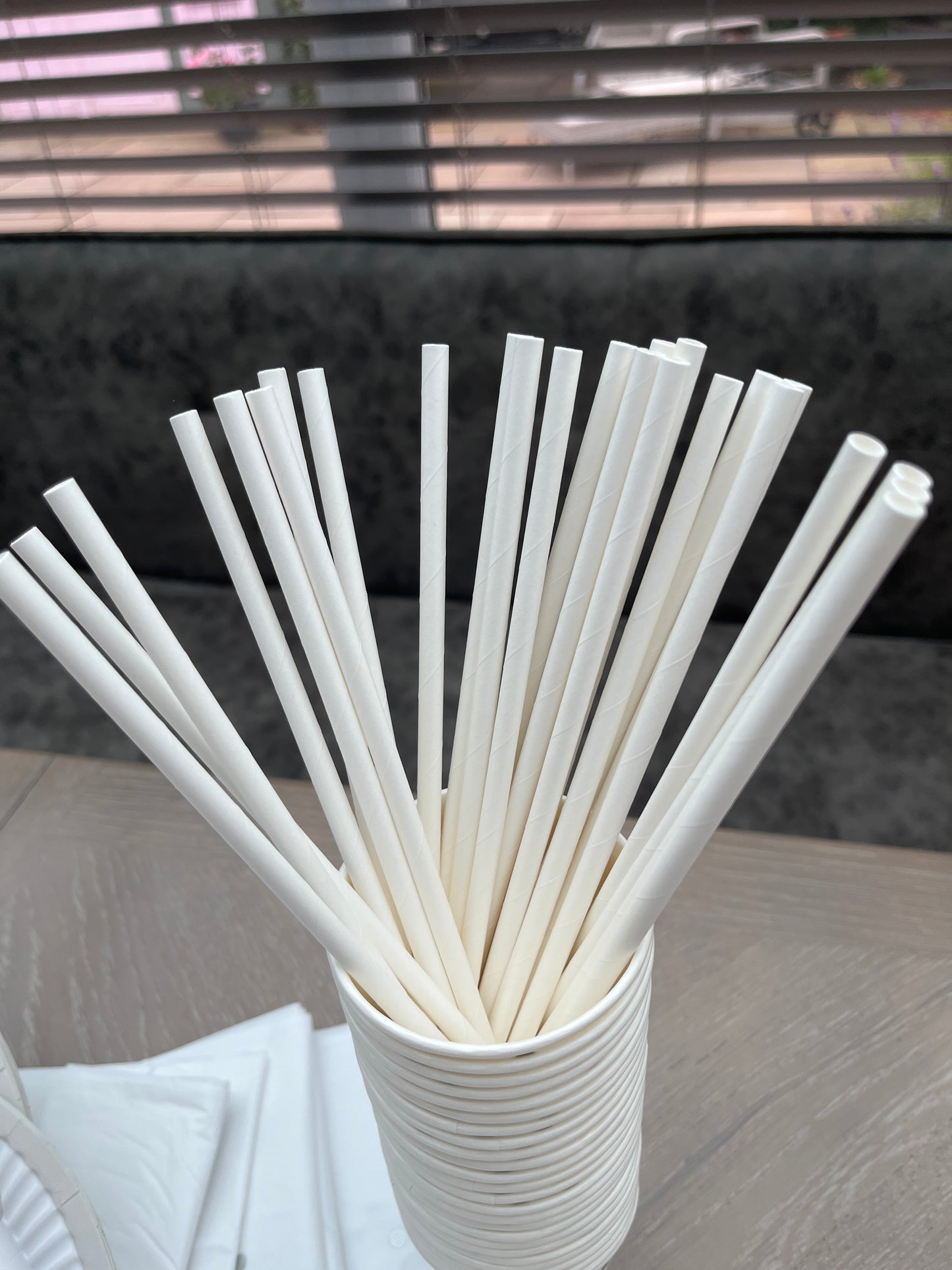 Disposable tableware 201 pcs - Premium SILVER / WHITE.