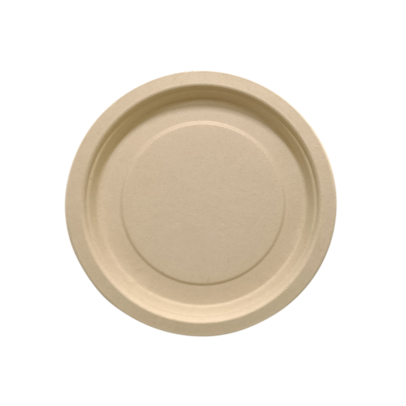 ECO Friendly bamboo fibers 9 inch plate.