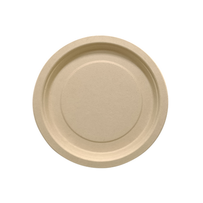 ECO Friendly bamboo fibers 9 inch plate.