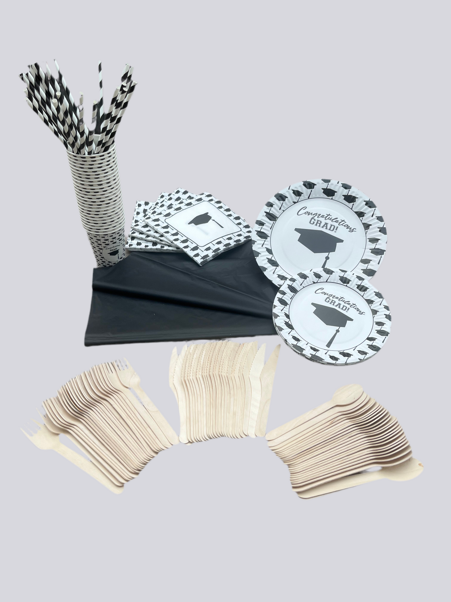 Disposable tableware 201 pcs - Grad.