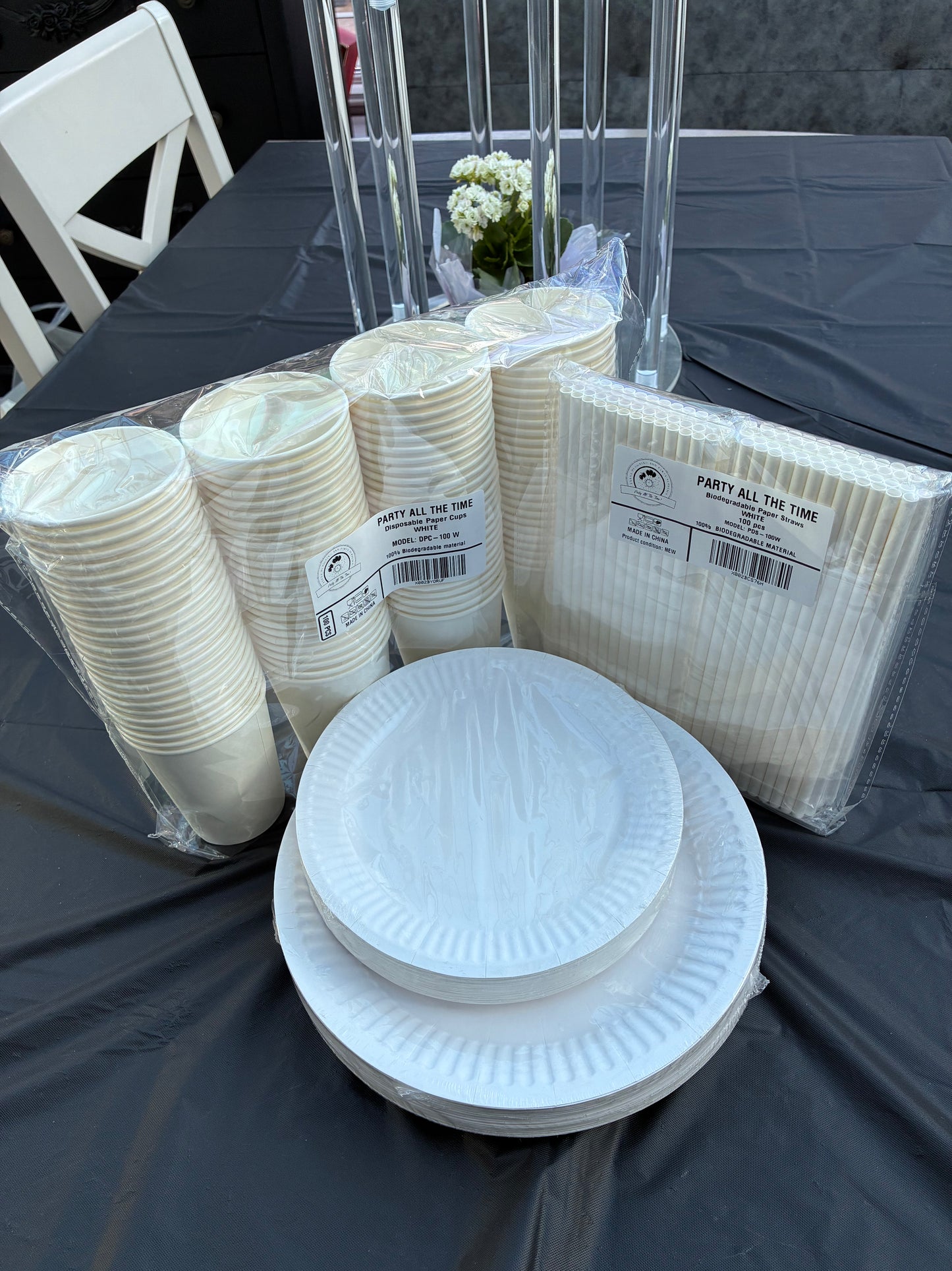 Disposable paper tableware set 300.