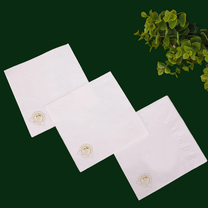 White napkins 2 layers - Premium. Pack of 25pcs.